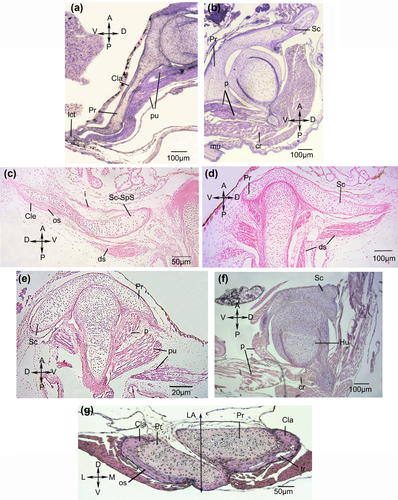 Details are in the caption following the image