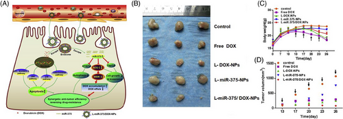 Details are in the caption following the image Details are in the caption following the image