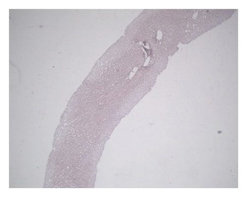 Details are in the caption following the image