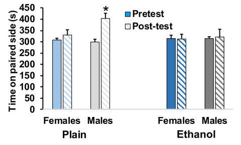Conditioned social preference and reward value of activating oxytocin-receptor-expressing ventral tegmental area neurons following repeated daily binge ethanol intake