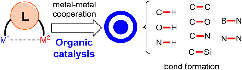 Metal-Metal Cooperation in Dinucleating Complexes Involving Late Transition Metals Directed towards Organic Catalysis