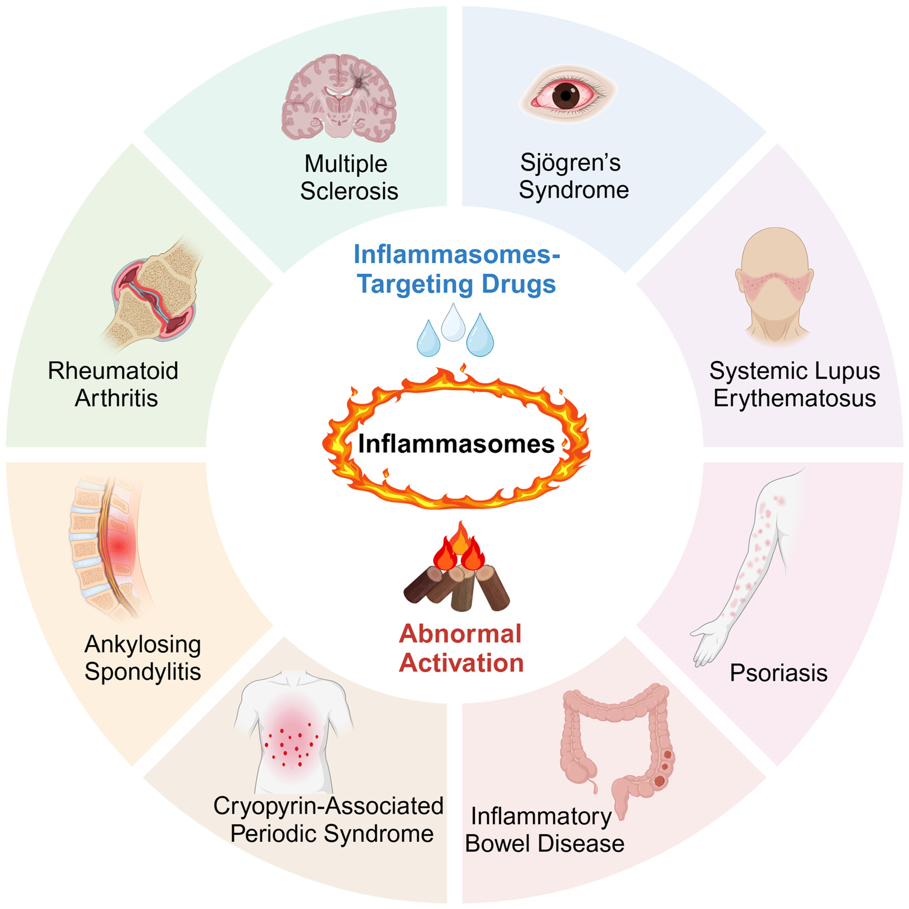 Inflammasomes and their roles in autoimmune diseases