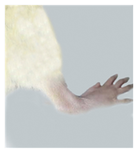 Details are in the caption following the image