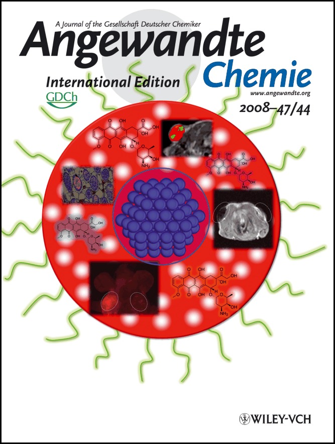 Inside Cover: Multifunctional Uniform Nanoparticles Composed of a Magnetite Nanocrystal Core and a Mesoporous Silica Shell for Magnetic Resonance and Fluorescence Imaging and for Drug Delivery (Angew. Chem. Int. Ed. 44/2008)