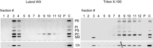 Details are in the caption following the image Details are in the caption following the image