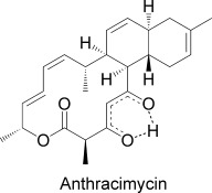 Anthracimycin, a Potent Anthrax Antibiotic from a Marine-Derived Actinomycete