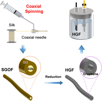 Silk Template Enabled Multi-Hollow Graphene Fibers for Electrochemical Electrode