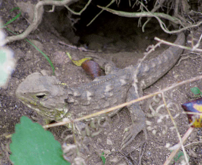 Details are in the caption following the image