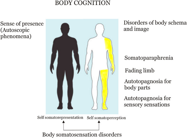 Invisible doppelgänger and body image disorders in right superior parietal lobule stroke, a case series