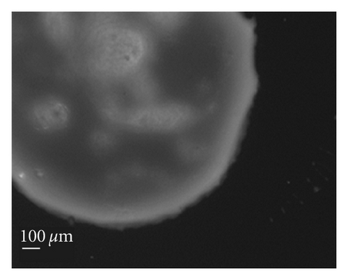 Details are in the caption following the image