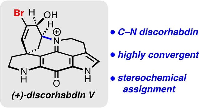 Total Synthesis of (+)-Discorhabdin V**