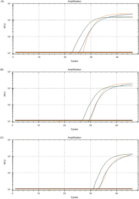 Smaller reaction volume of triplex taqman real-time reverse transcription-PCR assays for diagnosing coronavirus disease 2019