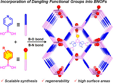 Introducing Functional Groups Into B←N Organic Frameworks with Permanent Porosity