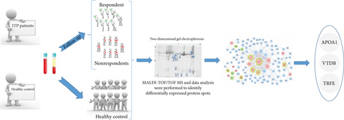 Details are in the caption following the image Details are in the caption following the image