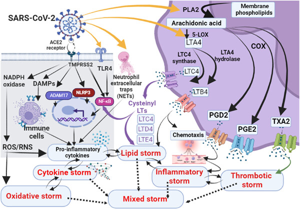 Mixed storm in SARS-CoV-2 infection: A narrative review and new term in the Covid-19 era