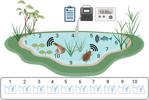 Pond Acoustic Sampling Scheme: A draft protocol for rapid acoustic data collection in small waterbodies