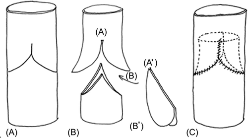 Details are in the caption following the image Details are in the caption following the image