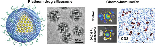 Development of Facile and Versatile Platinum Drug Delivering Silicasome Nanocarriers for Efficient Pancreatic Cancer Chemo-Immunotherapy