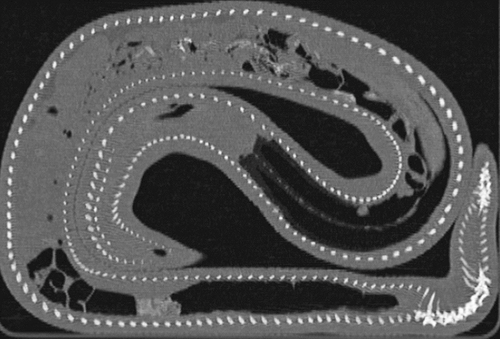 Details are in the caption following the image