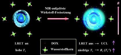 Real-Time In Vivo Quantitative Monitoring of Drug Release by Dual-Mode Magnetic Resonance and Upconverted Luminescence Imaging
