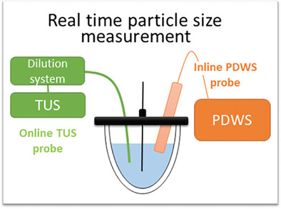 Real-Time Monitoring of Particle Size in Emulsion Polymerization: Simultaneous Turbidity and Photon Density Wave Spectroscopy