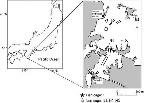 Details are in the caption following the image