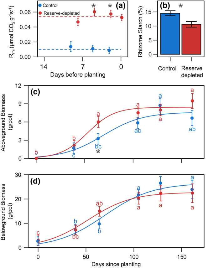 A 30% reduction in switchgrass rhizome reserves did not decrease biomass yield