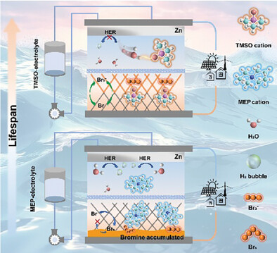 A Long-Life Zinc-Bromine Single-Flow Battery Utilizing Trimethylsulfoxonium Bromide as Complexing Agent
