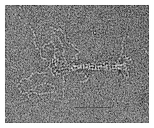 Details are in the caption following the image