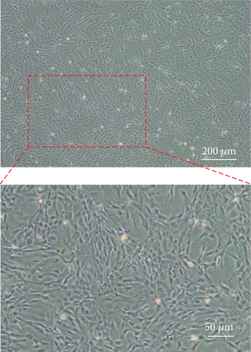 Details are in the caption following the image