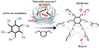 Unlocking Durable and Sustainable Zinc–Iodine Batteries via Molecularly Engineered Polyiodide Reservoirs