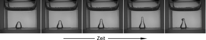 Particle-Stabilized Water Droplets that Sprout Millimeter-Scale Tubes