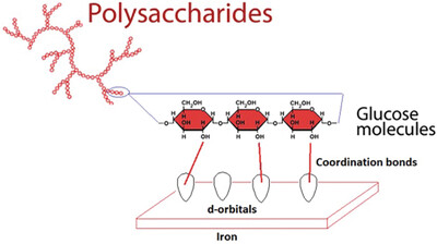 Exploring the Efficacy of Polysaccharides as Green Corrosion Inhibitors: A Comprehensive Review