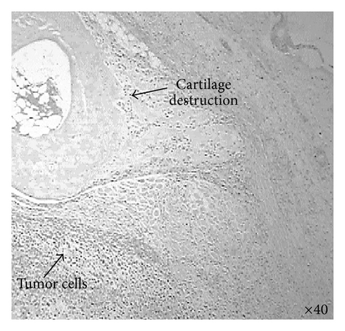 Details are in the caption following the image