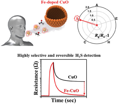 Highly Selective and Reversible Detection of Simulated Breath Hydrogen Sulfide Using Fe-Doped CuO Hollow Spheres: Enhanced Surface Redox Reaction by Multi-Valent Catalysts