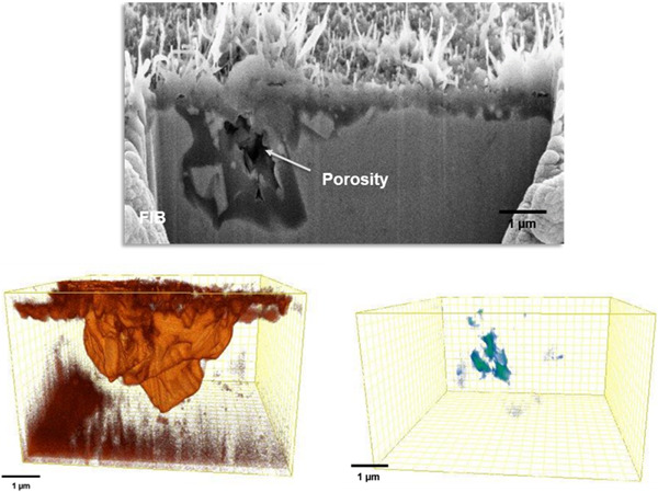 Formation of corrosion pockets in FeNiCrAl at high temperatures investigated by 3D FIB-SEM tomography