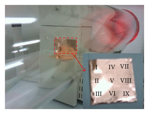 Details are in the caption following the image Details are in the caption following the image