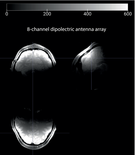 Details are in the caption following the image