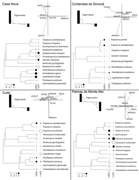 Determinants of resource use in lizard assemblages from the semiarid Caatinga, Brazil
