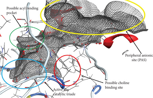 Details are in the caption following the image Details are in the caption following the image