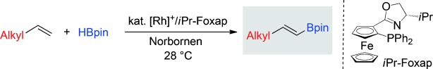 Rhodium-Catalyzed Dehydrogenative Borylation of Aliphatic Terminal Alkenes with Pinacolborane