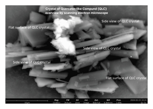 Details are in the caption following the image