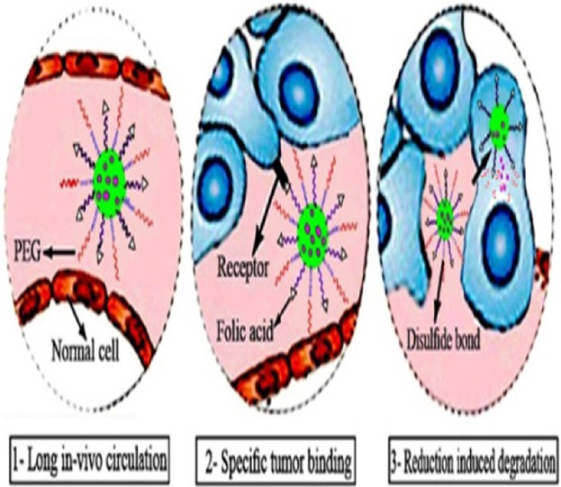 Spatiotemporally Programmable Surface Engineered Nanoparticles for Effective Anticancer Drug Delivery