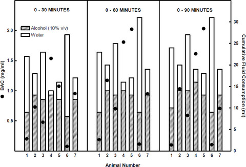 Alcohol Drinking and Blood Alcohol Concentration Revisited