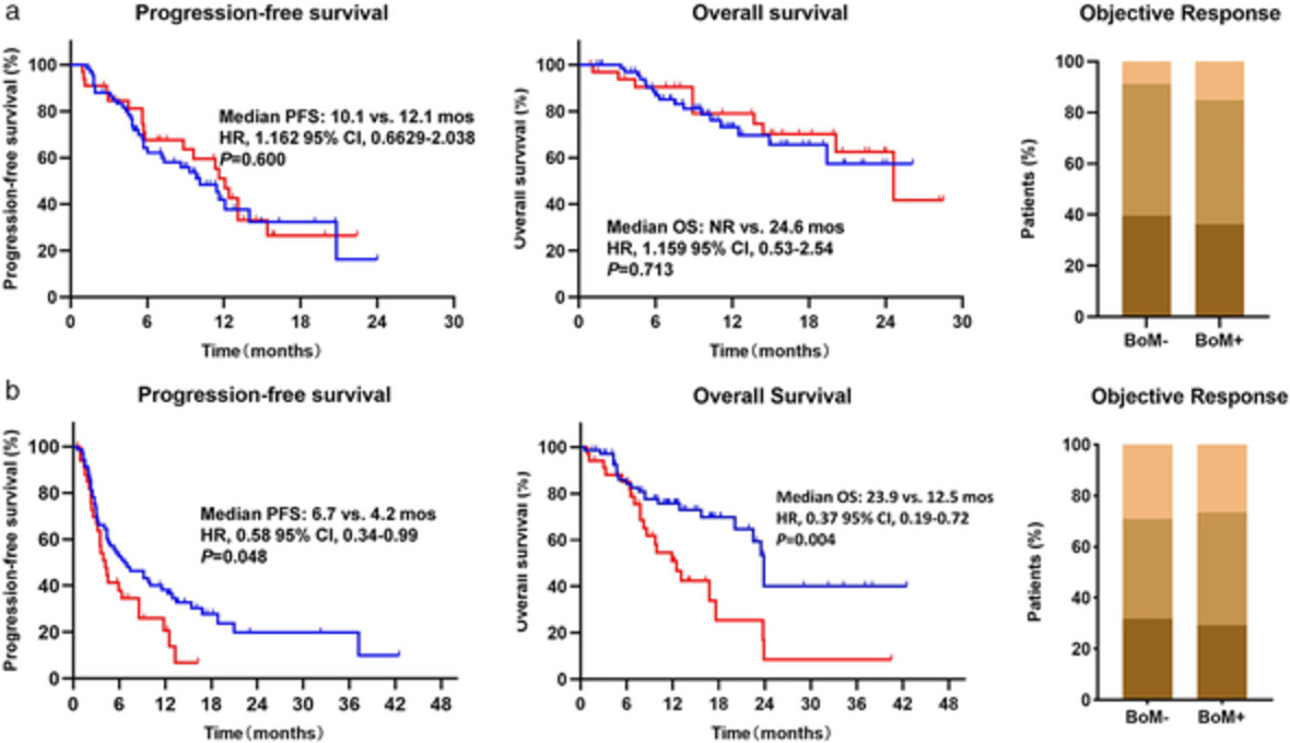 Adverse impact of bone metastases on clinical outcomes of patients with advanced non-small cell lung cancer treated with immune checkpoint inhibitors