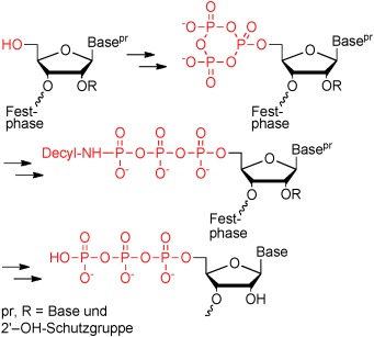 Efficient Solid-Phase Synthesis of pppRNA by Using Product-Specific Labeling