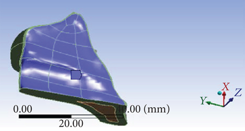 Details are in the caption following the image Details are in the caption following the image