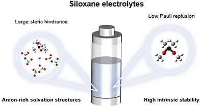 Origin of Anion-Rich Solvation Structures in Siloxane Electrolytes