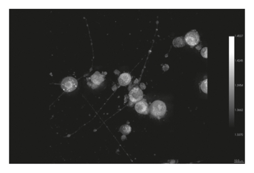 Details are in the caption following the image