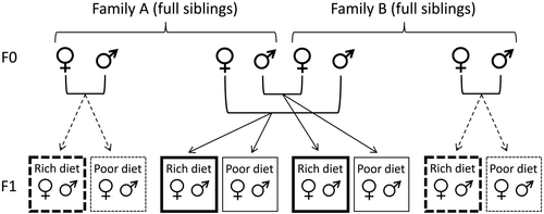 Details are in the caption following the image